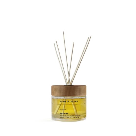 TEAM DR JOSEPH Inspire Room Fragrance