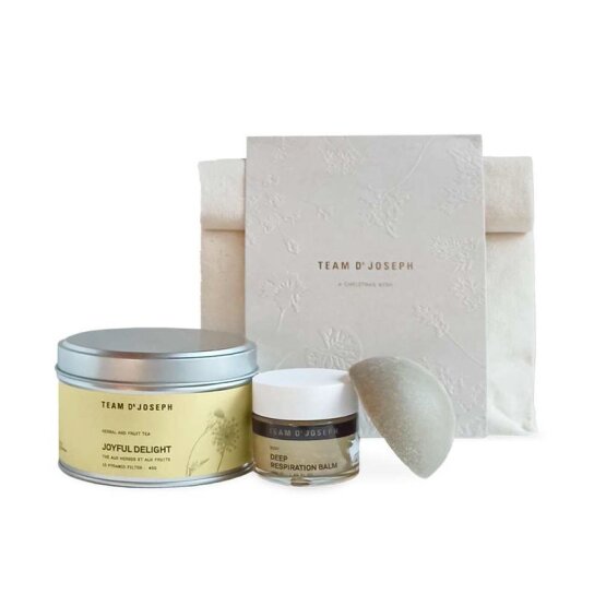 TEAM DR JOSEPH A Christmas Wish Kit