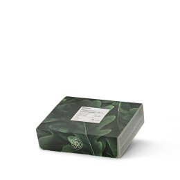 Rebiome ReBalance Active Probiotic Mask