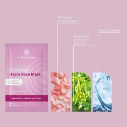 Dr. Niedermaier Fermented Hydra Rose Mask