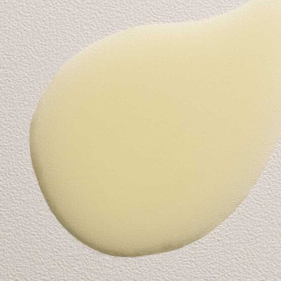 davines DEDE Leave in Conditioner 250 ml